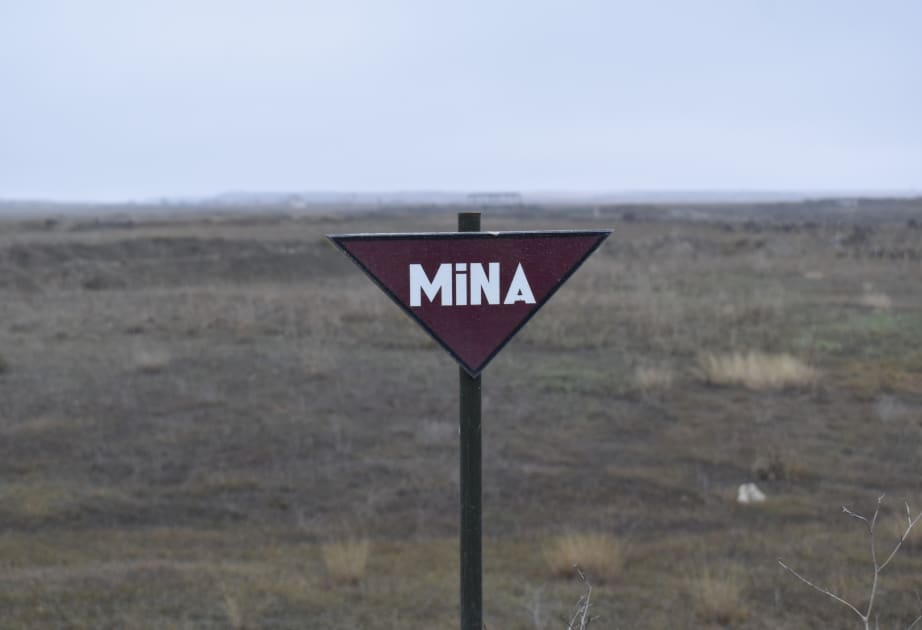Ötən həftə nə qədər ərazi minalardan təmizlənib?