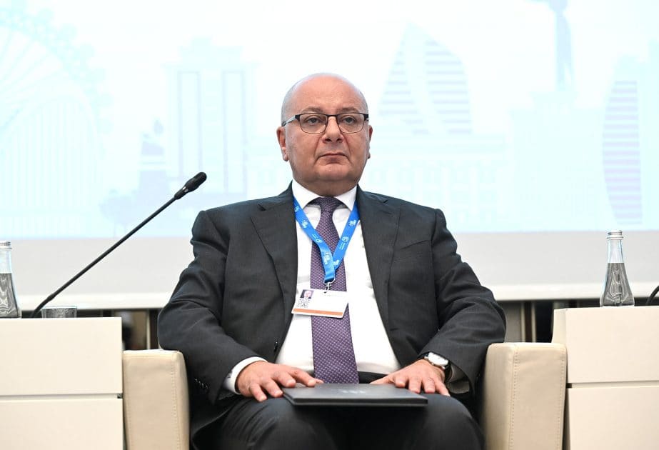ANAMA sədri: Ərazilərin minalanması ekosistemin təhlükəsizliyinə təsir edən problemdir