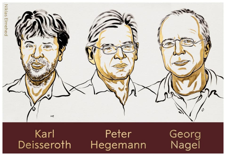 Nobel Prize laureates in Physiology or Medicine announced