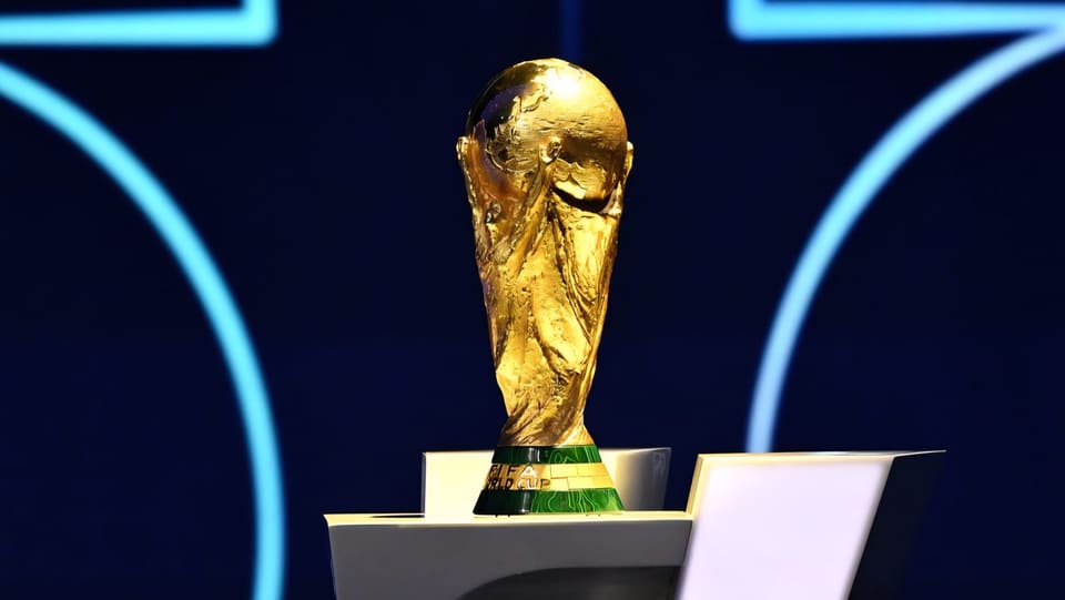 Ukraine and Poland could launch joint World Cup bid