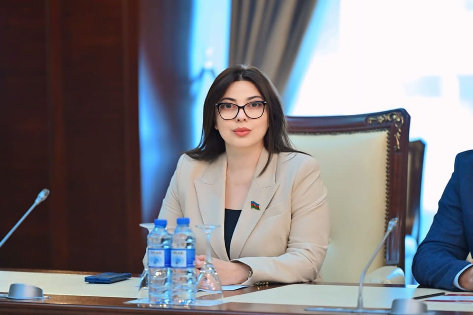 Səbinə Salmanova: Azərbaycanın AQEM sədrliyi beynəlxalq nüfuzunun göstəricisidir