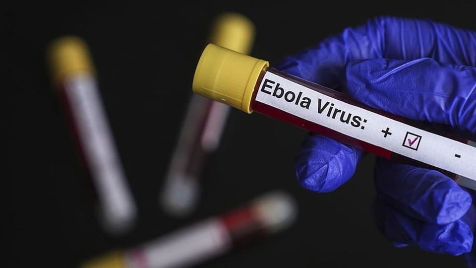 Konqoda Eboladan ölənlərin sayı artıb