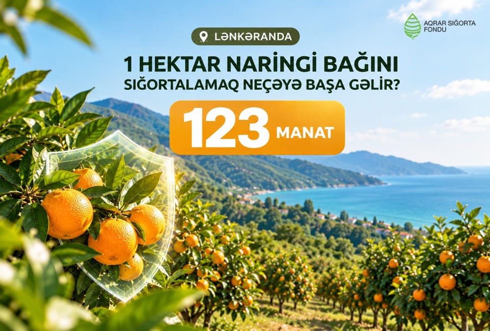 KTN: Naringi bağlarının sığortalanması fermerlərin risklərdən qorunmasına imkan verir