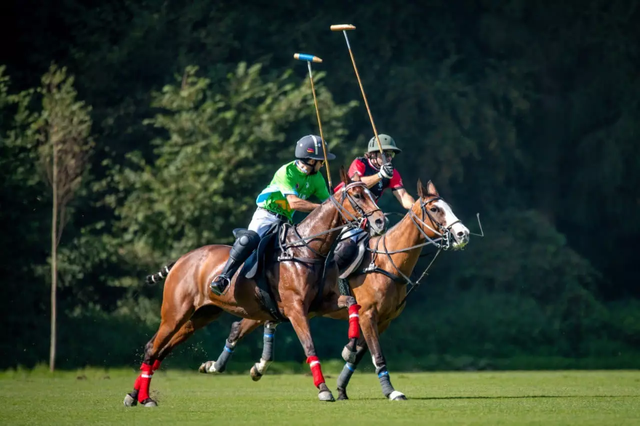 Azərbaycan polo yığması Avropa Çempionatında inamlı çıxış edir