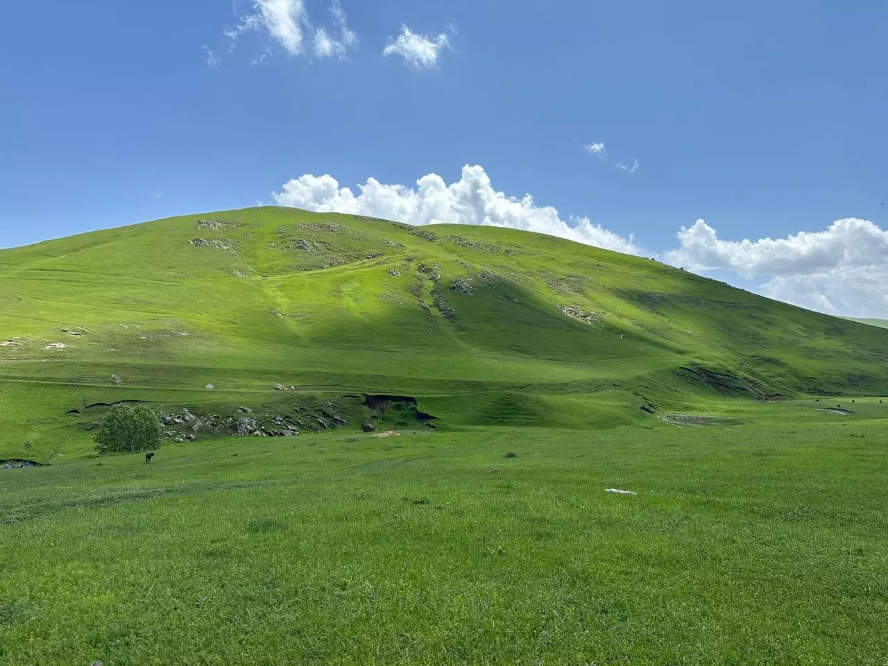 Sabah havanın necə olacağı açıqlanıb