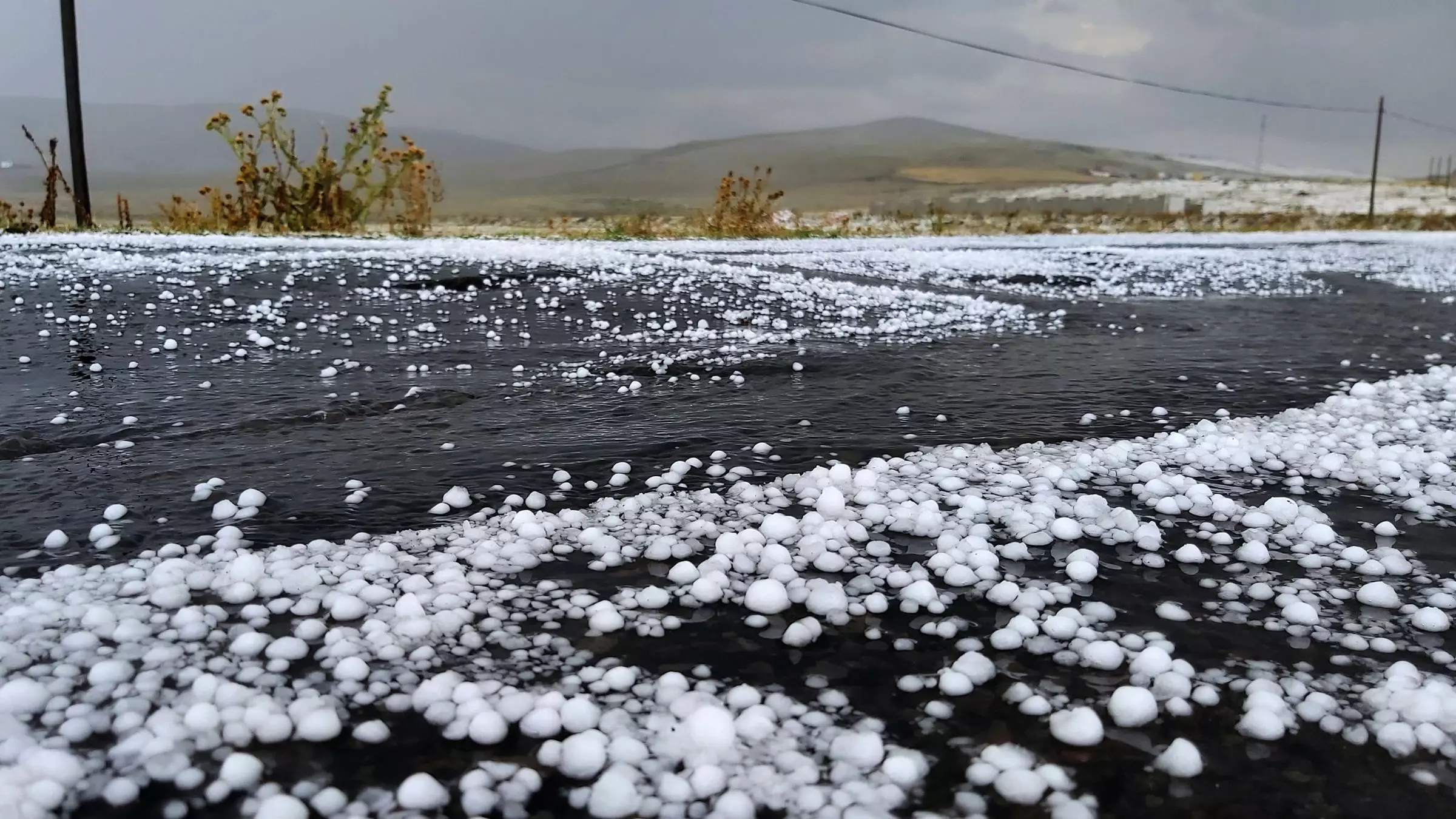 Hava şəraiti ilə əlaqədar fermerlərə dəyən zərər qiymətləndirilir