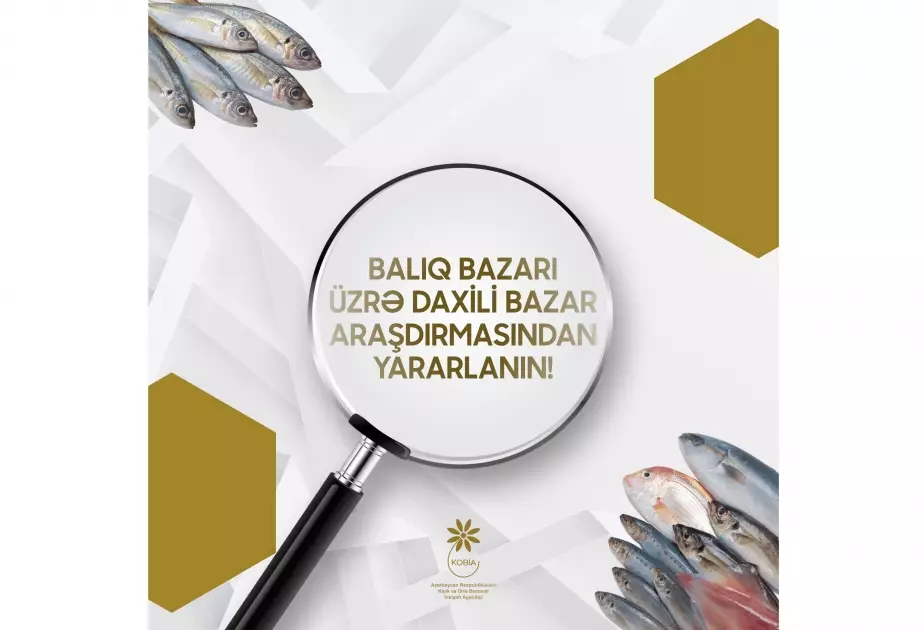 Balıq bazarı ilə bağlı araşdırma aparılıb