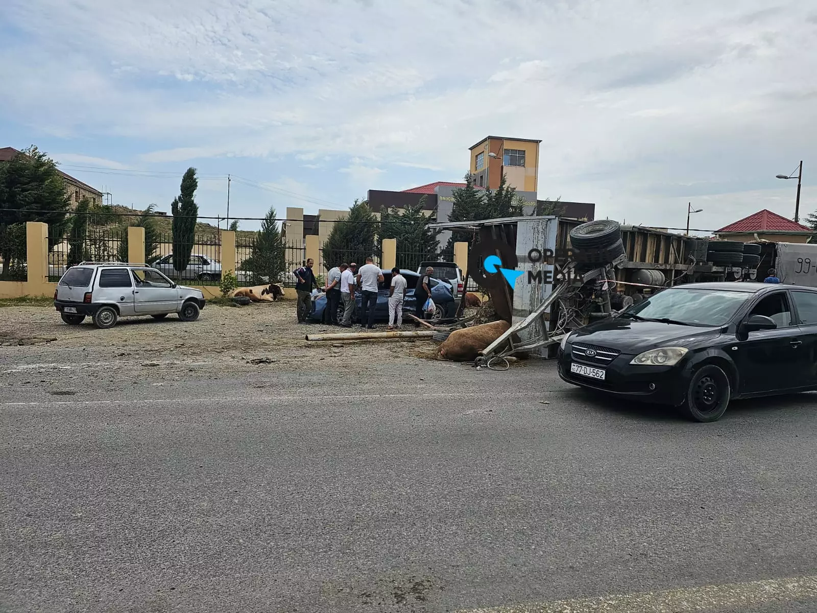 Bakıda "Prius" heyvan aparan yük avtomobili ilə toqquşub - VİDEO