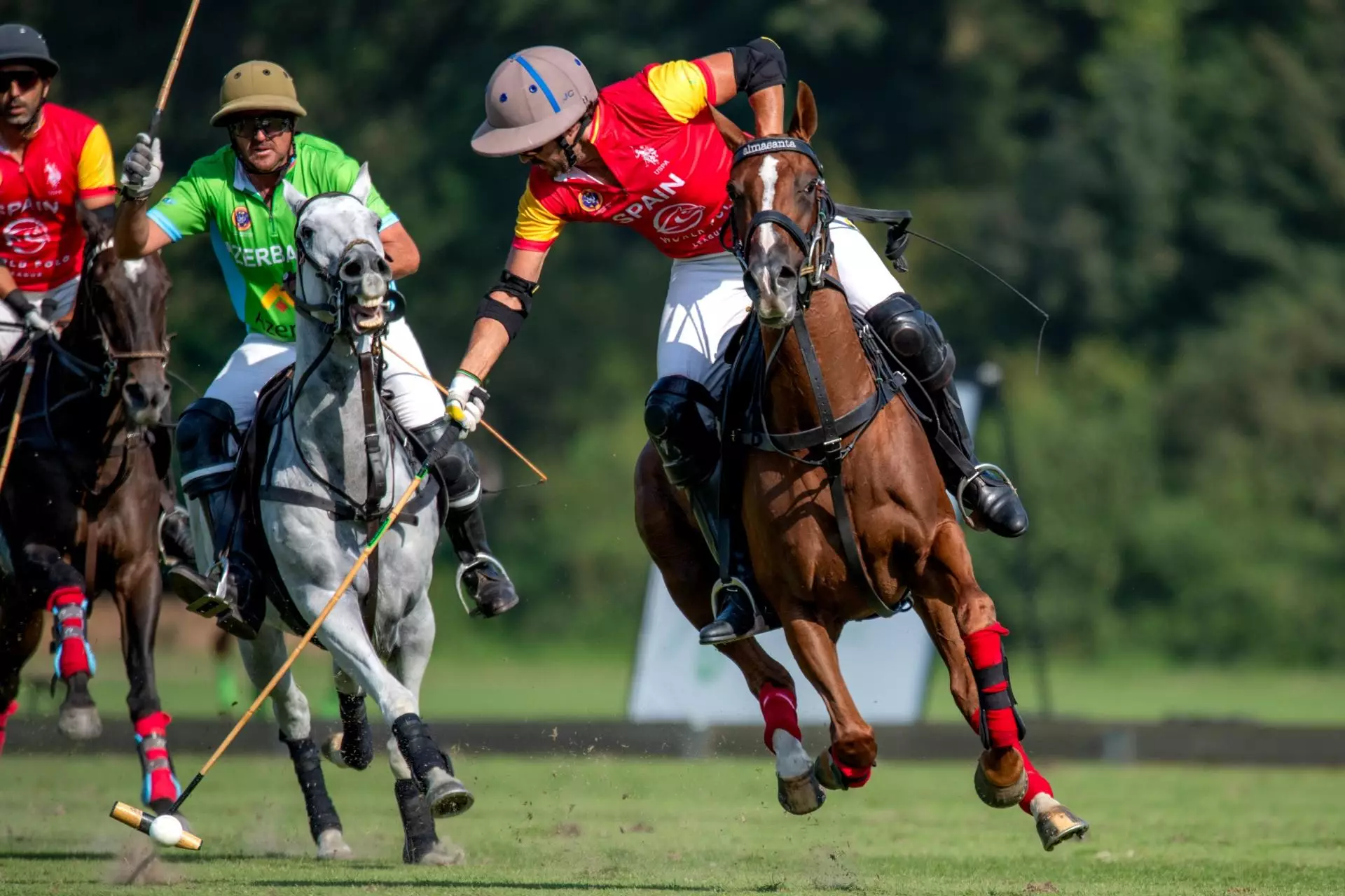 Polo üzrə Azərbaycan yığması Avropa çempionatında gümüş medal əldə edib