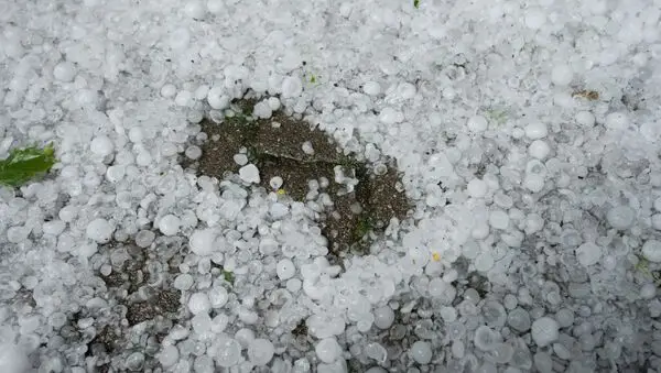 Ölkə ərazisində müşahidə olunan faktiki hava açıqlanıb