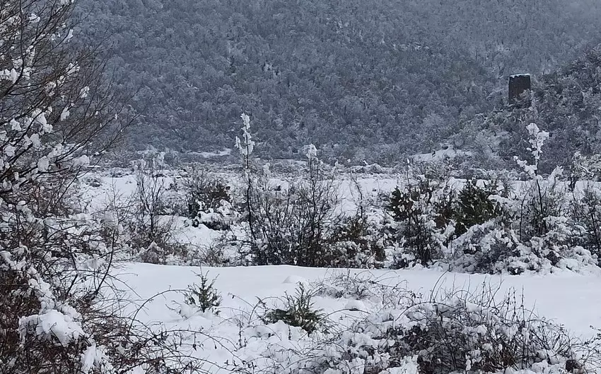 Azərbaycana qar yağıb