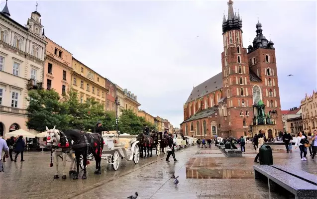 Polşa Slovakiya ilə sərhəddə yoxlamalar tətbiq edəcək