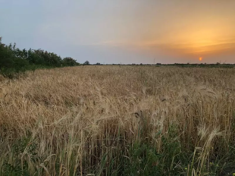 Sabah hava yağıntılı olacaq