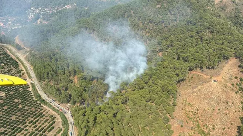 Türkiyədə meşə yanğınları başlayıb