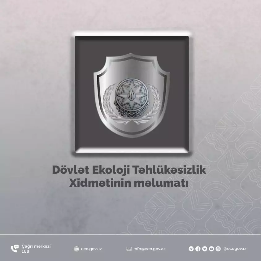 Dövlət Xidməti: Xətai, Nəsimi, Nərimanov və Qaradağ rayonlarında ağaclar qanunsuz kəsilib