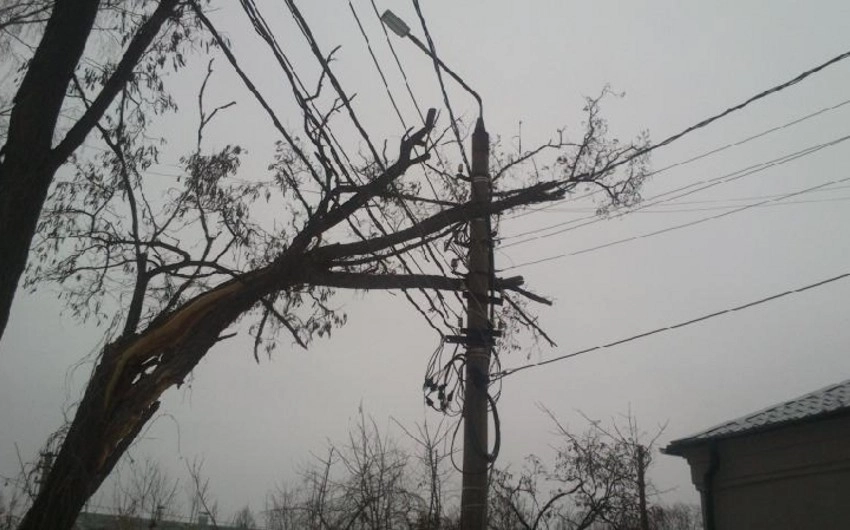 Güclü külək Lənkəranda elektrik enerjisində problemlər yaşadıb