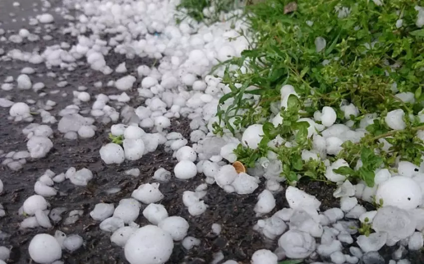 Biləsuvar rayonuna dolu yağıb