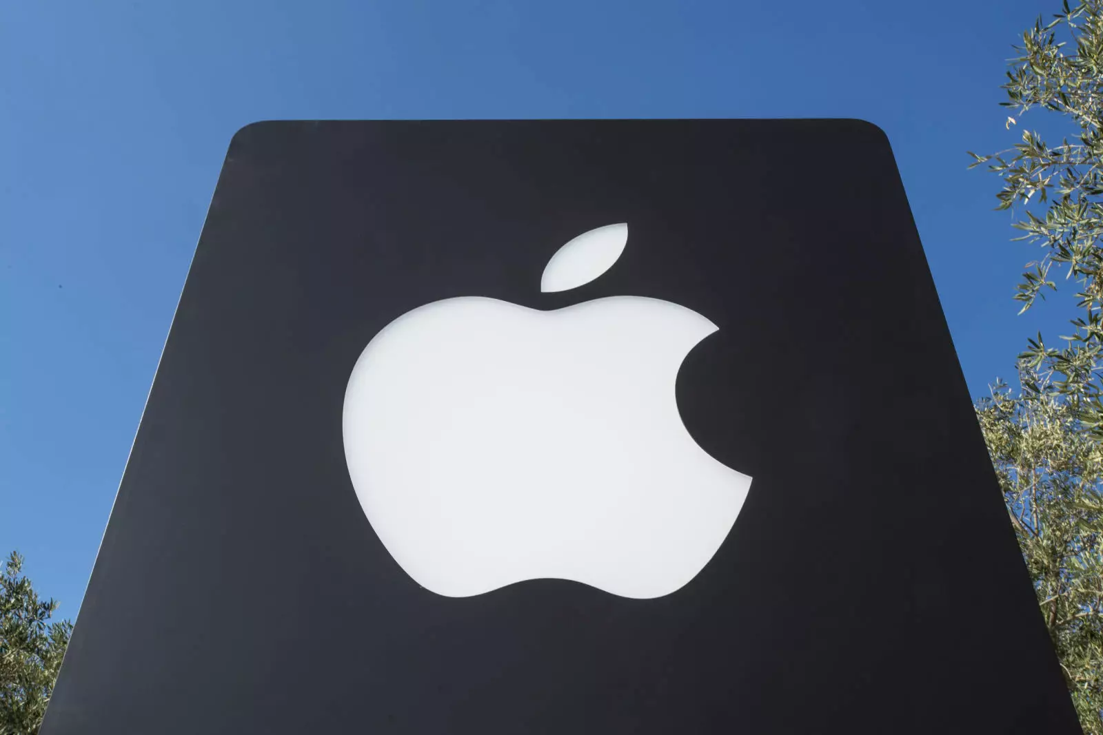 Çində "Apple" məhsullarının qiymətləri ucuzlaşıb