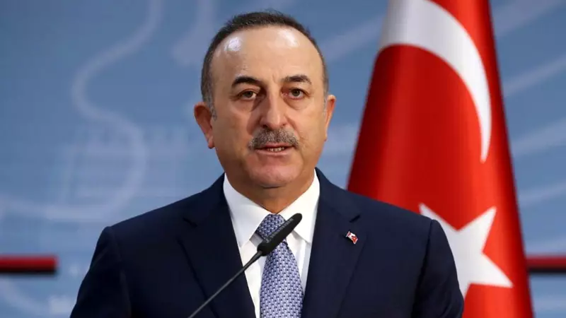 Çavuşoğlu: “ Biz İsveç və Finlandiyanın təhlükəsizliklə bağlı narahatlıqlarını başa düşürük”