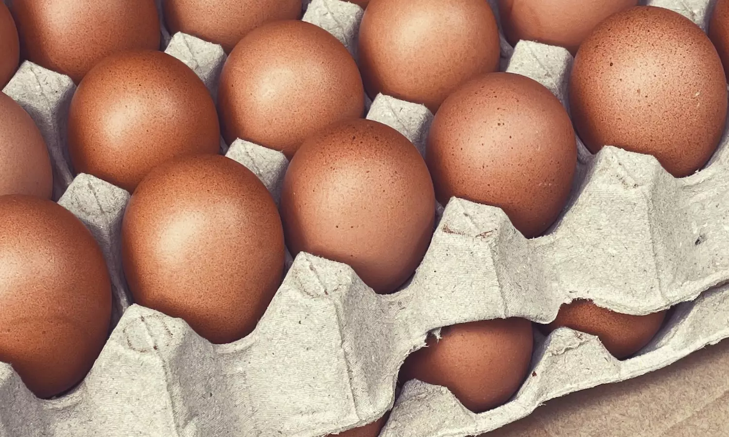Rusiya altı ay ərzində toyuq yumurtasının idxal rüsumunu sıfırlayıb