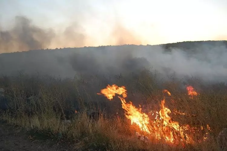 Şabranda 15 hektar ərazidə baş vermiş yanğın tam söndürülüb