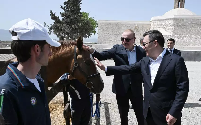 Qırğızıstan Prezidentinə Qarabağ atı hədiyyə edilib