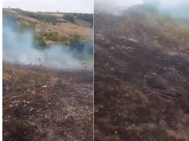 Şamaxıda biçilmiş əkin sahəsini yandıran şəxslər müəyyən olunub