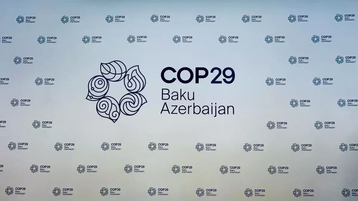 COP29 viza müraciət sistemi aktivləşdirilib