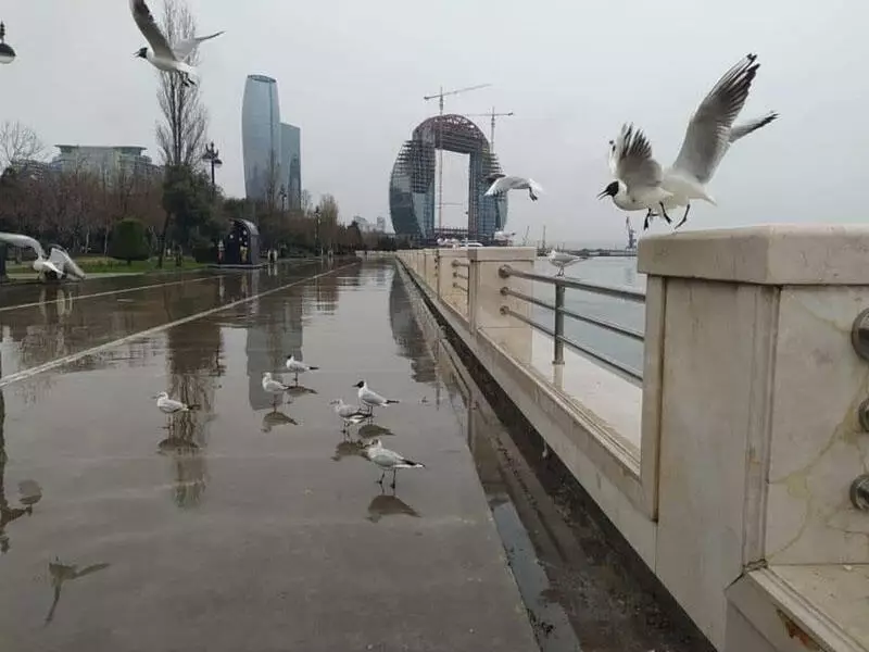 Sabahın hava proqnozu açıqlanıb