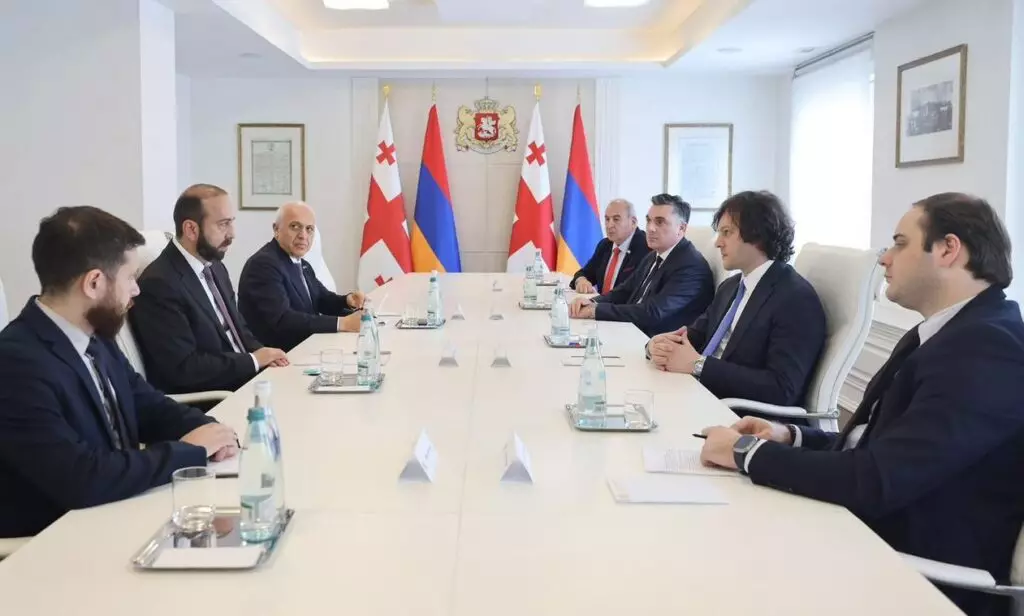 Gürcüstanın Baş naziri Ermənistanın xarici işlər naziri ilə görüşüb