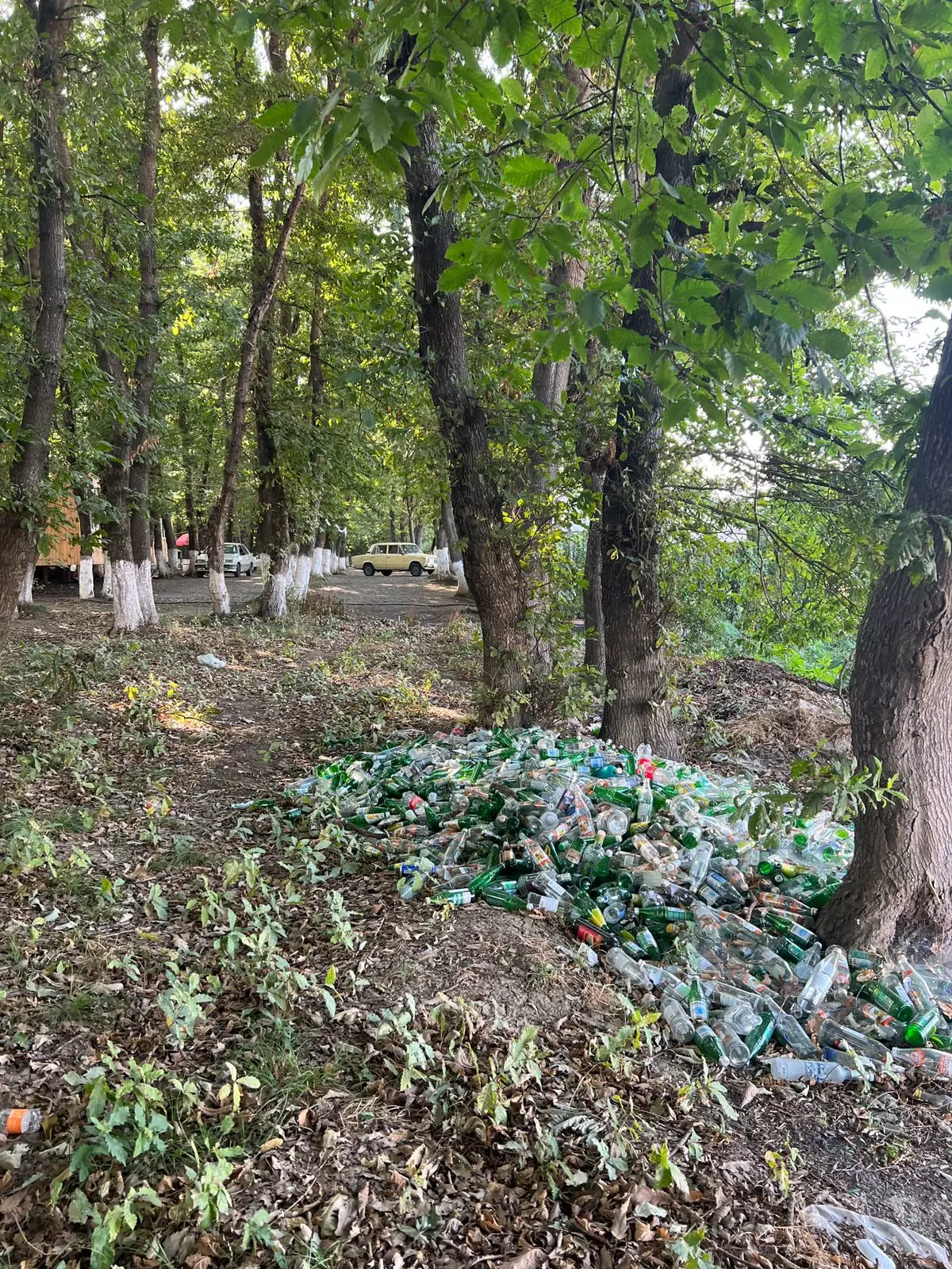 Ətraf mühiti zibilləyən şəxslər barəsində tədbirlər görülüb (FOTO)