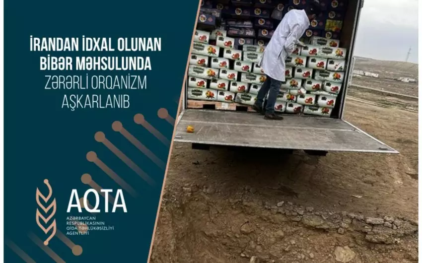 İrandan idxal olunan 5 ton bibər yararsız çıxıb