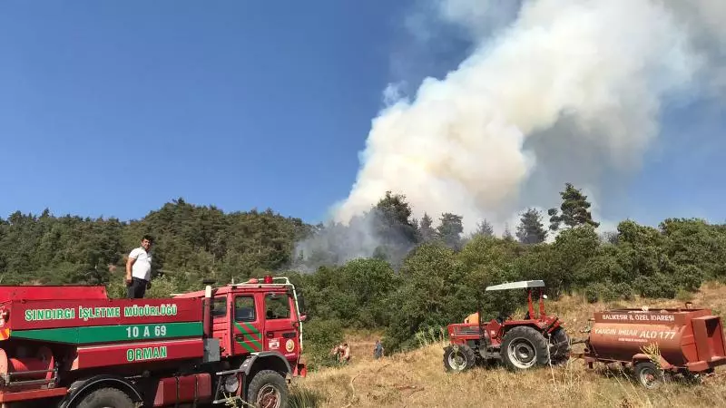 Türkiyənin Balıkesir vilayətində də meşə yanğınları başlayıb