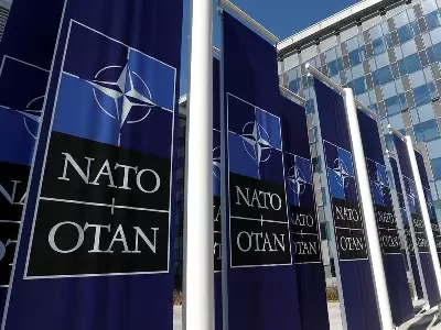NATO Ukraynaya yardımı müzakirə edəcək