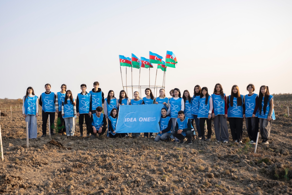 IDEA Xaçmaz və Şabranda növbəti ağacəkmə aksiyaları təşkil edib