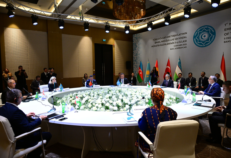 TDT-nin əmək, məşğulluq və sosial müdafiə nazirlərinin birinci iclasının Bəyannaməsi imzalanıb