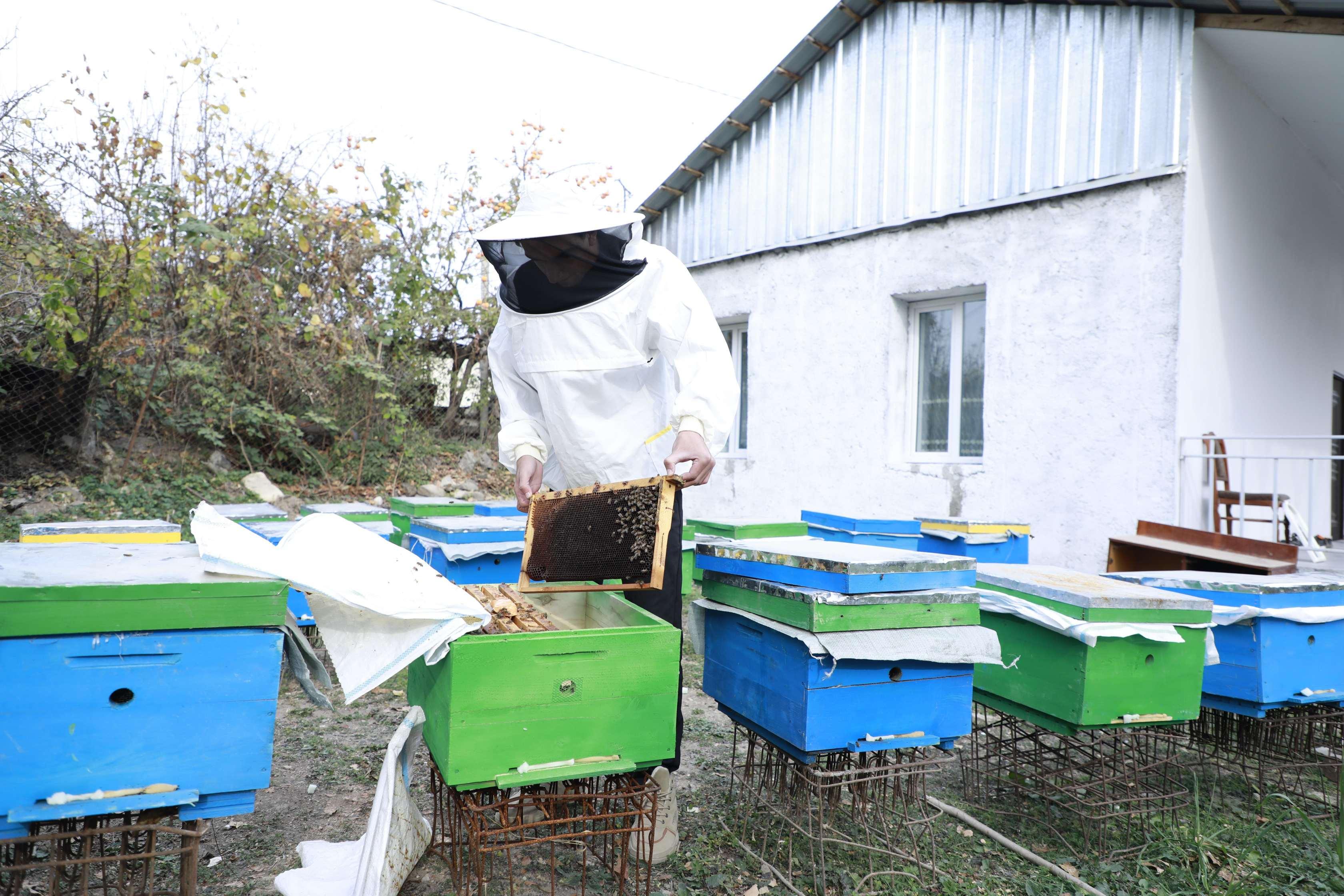 Laçın, Xocalı, Ağdərə və Xocavənddə özünüməşğulluq proqramı üzrə yeni kiçik ailə biznesləri yaradılıb
