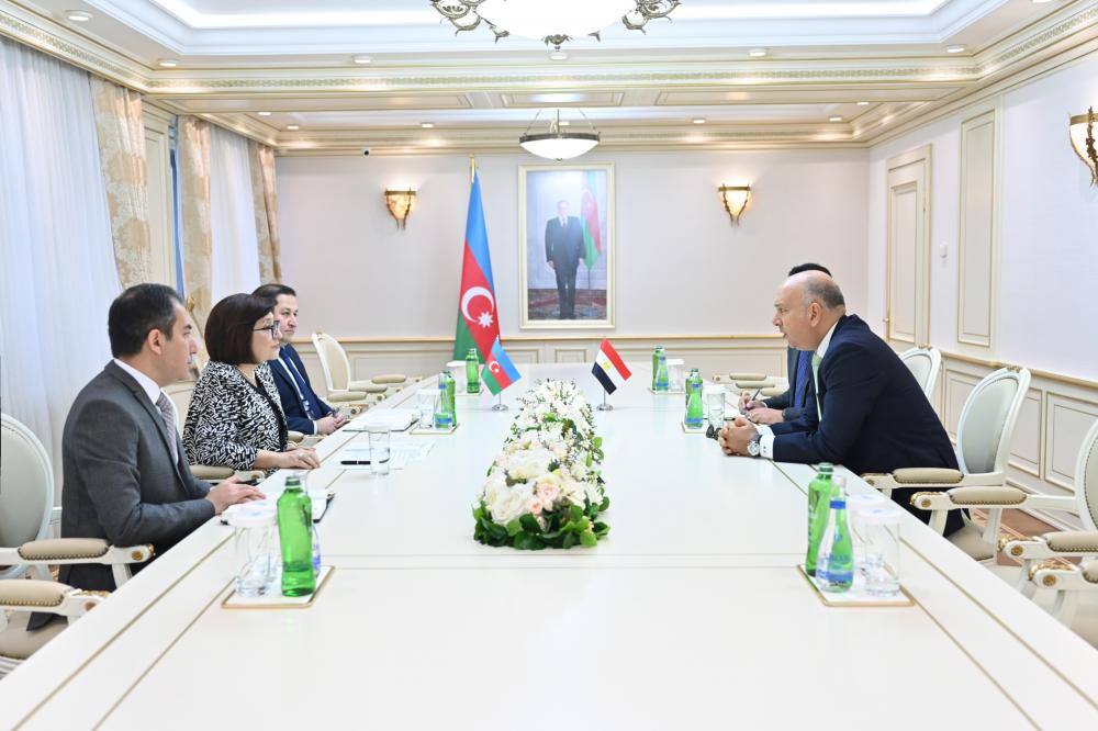 Sahibə Qafarova Misirin ölkəmizdəki səfiri ilə görüşüb