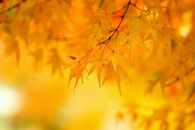 Sabah hava yağmursuz keçəcək