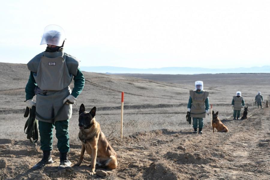 XİN: 240 min hektardan çox ərazi minalardan təmizlənib