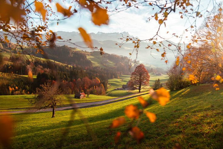 Sabah hava yağmursuz keçəcək