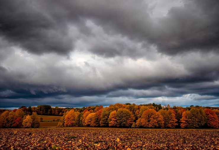 Paytaxtda hava yağmursuz keçəcək- PROQNOZ