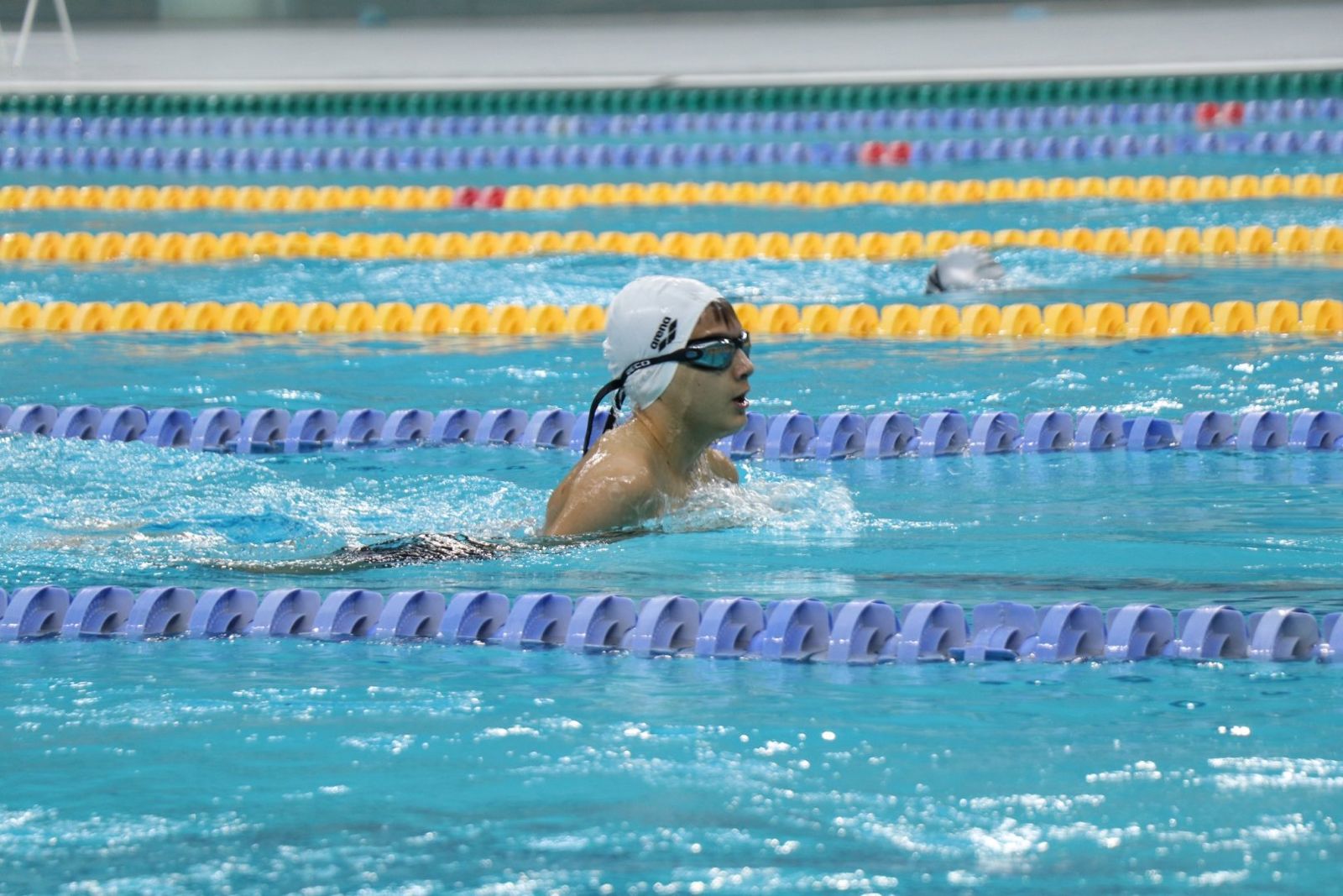 Üzgüçülük üzrə Azərbaycan çempionatı başa çatıb 