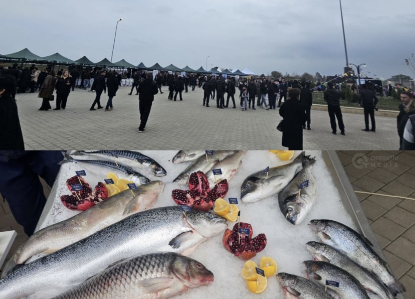 Neftçala rayonunda ilk dəfə Balıq Festivalı keçirilir - FOTOLAR