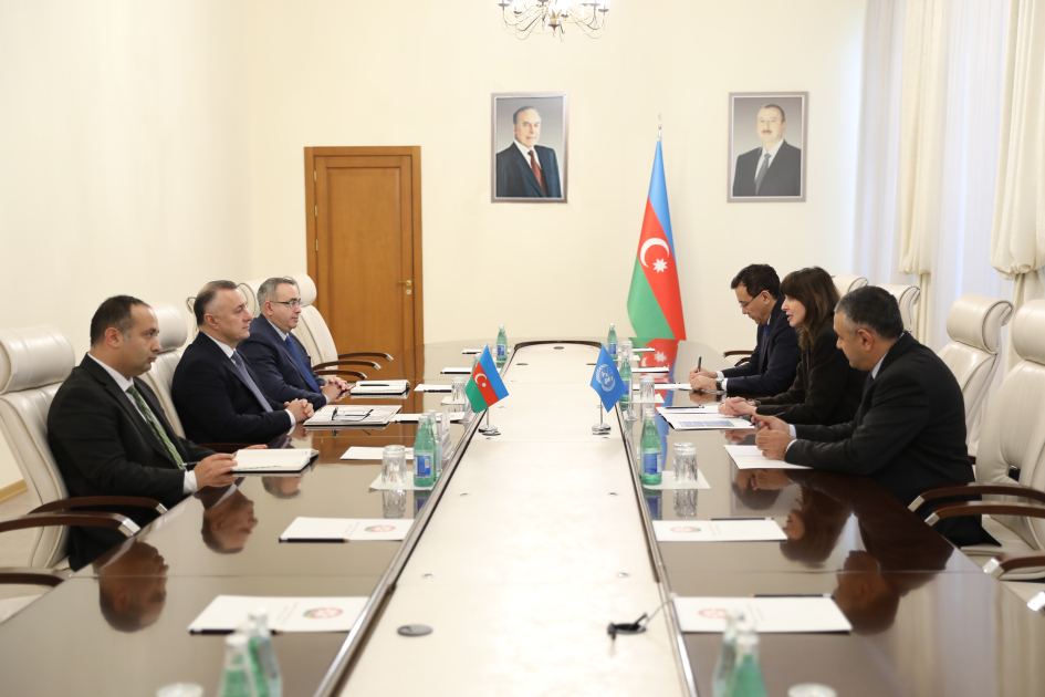 BMT ilə səhiyyə sahəsində əməkdaşlığın perspektivləri müzakirə edilib - Foto