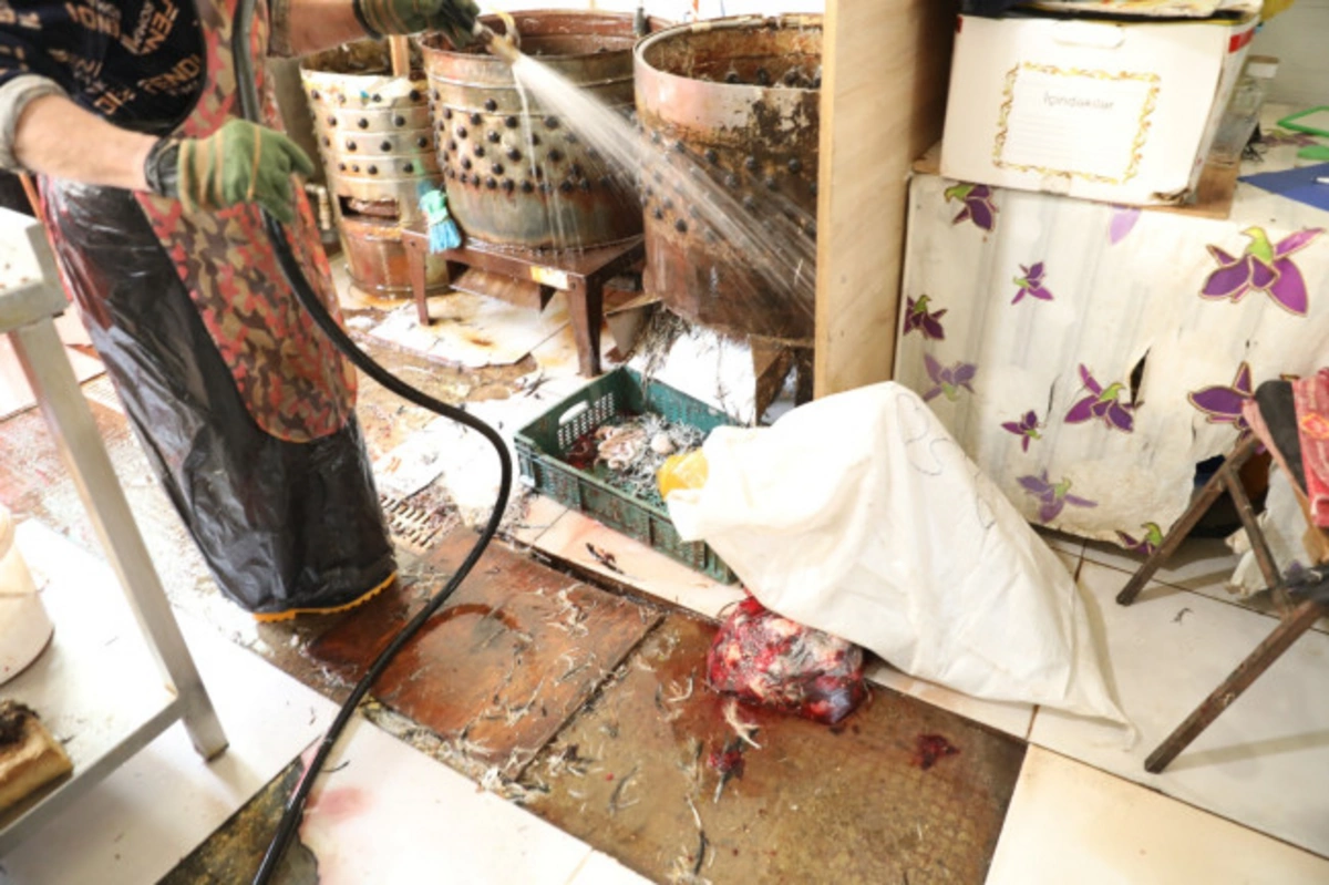 "8-ci km" bazarında qanunsuz quş kəsimi yerinin fəaliyyəti məhdudlaşdırılıb