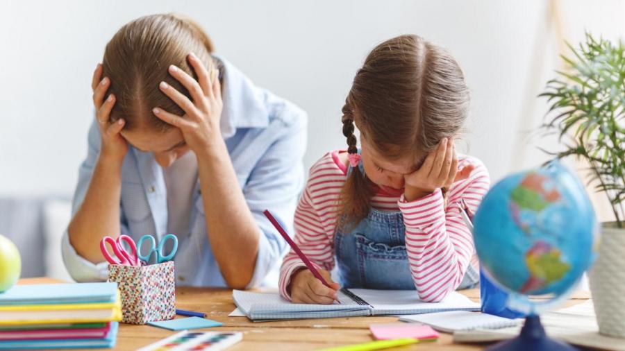 Üzündən oxuya bilmir, hər il yarısı ana dilindən kəsilir - Rus bölmələrində dil problemi - VİDEO