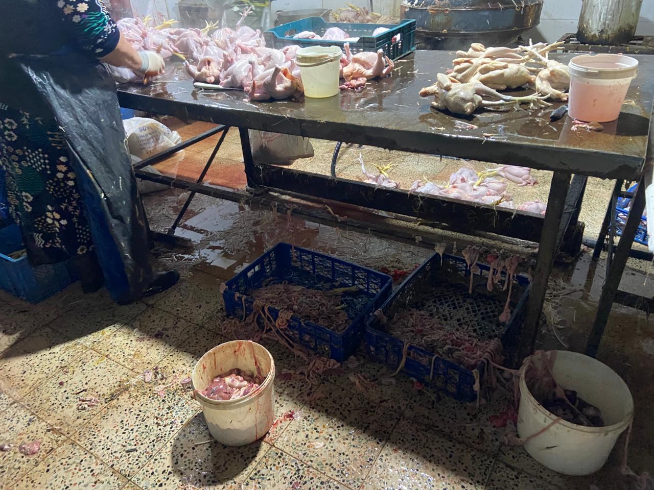 Xırdalanda qanunsuz və antisanitar şəraitdə fəaliyyət göstərən quş kəsimi sexinin fəaliyyəti məhdudlaşdırılıb