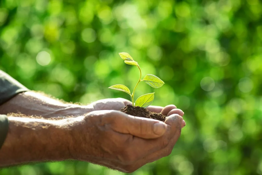 İşğaldan azad edilmiş ərazilərdə ikinci investisiya müsabiqəsi elan edilib