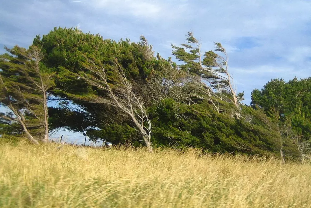 Güclü külək nə vaxta qədər davam edəcək?
